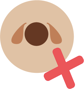 Incompatible avec les chiens