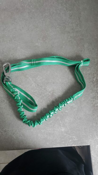 Laisse anti-traction – Image 2