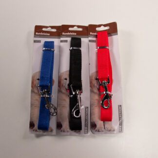 Laisse pour chien