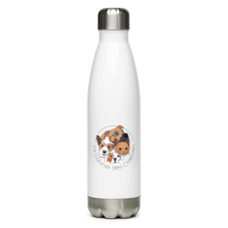 Bouteille en acier inoxydable